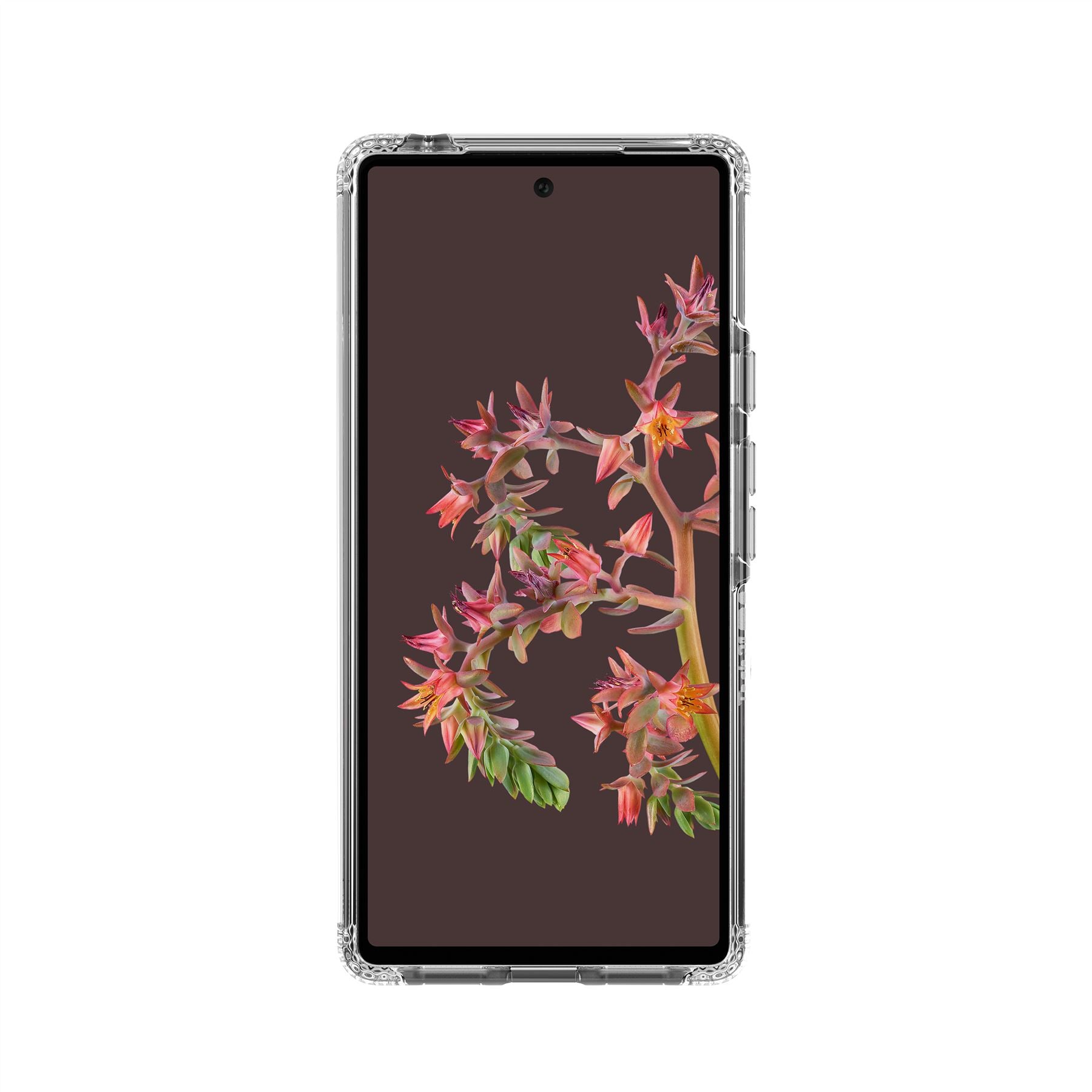 EvoClear - Google Pixel 6 Case - Clear