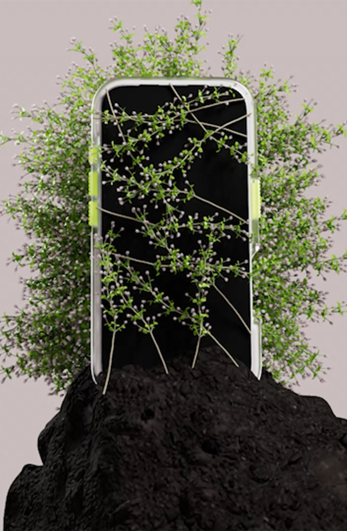 Sustainability